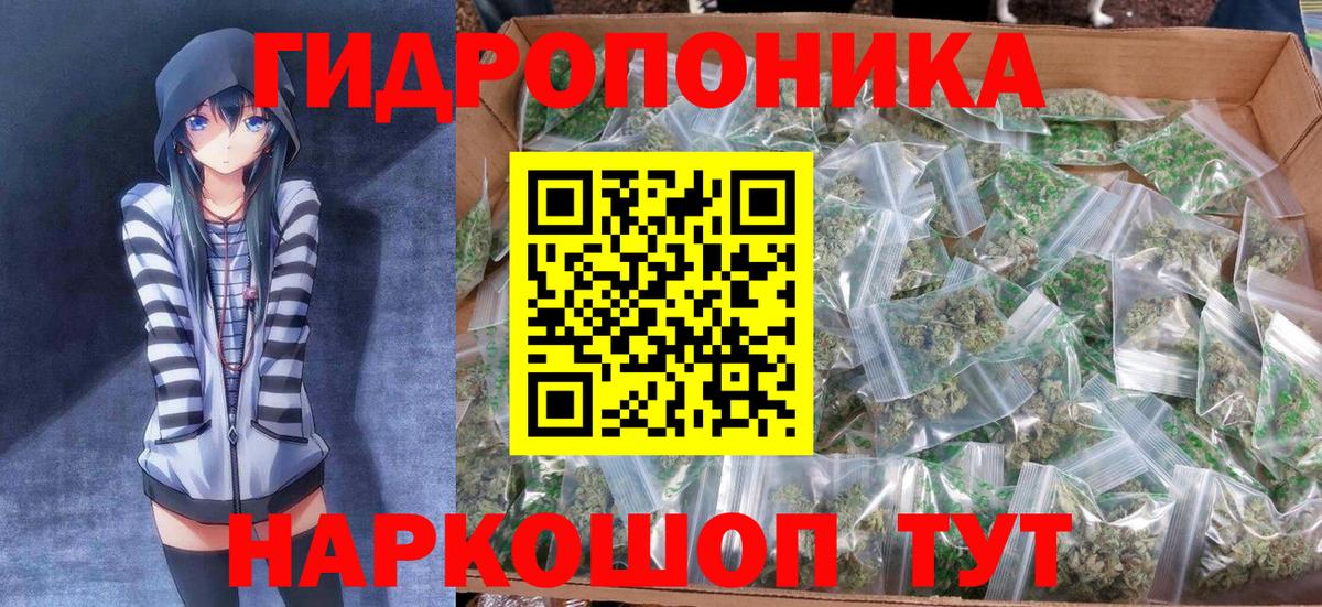 Конопля семена  Бошки марихуана THC 21%  Вятские Поляны  Вход с VPN  Каннабис AK-47  Конопля MAZAR 